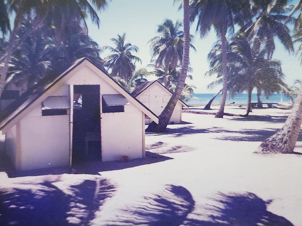 A serene beach scene featuring small white huts surrounded by palm trees and ocean views.
