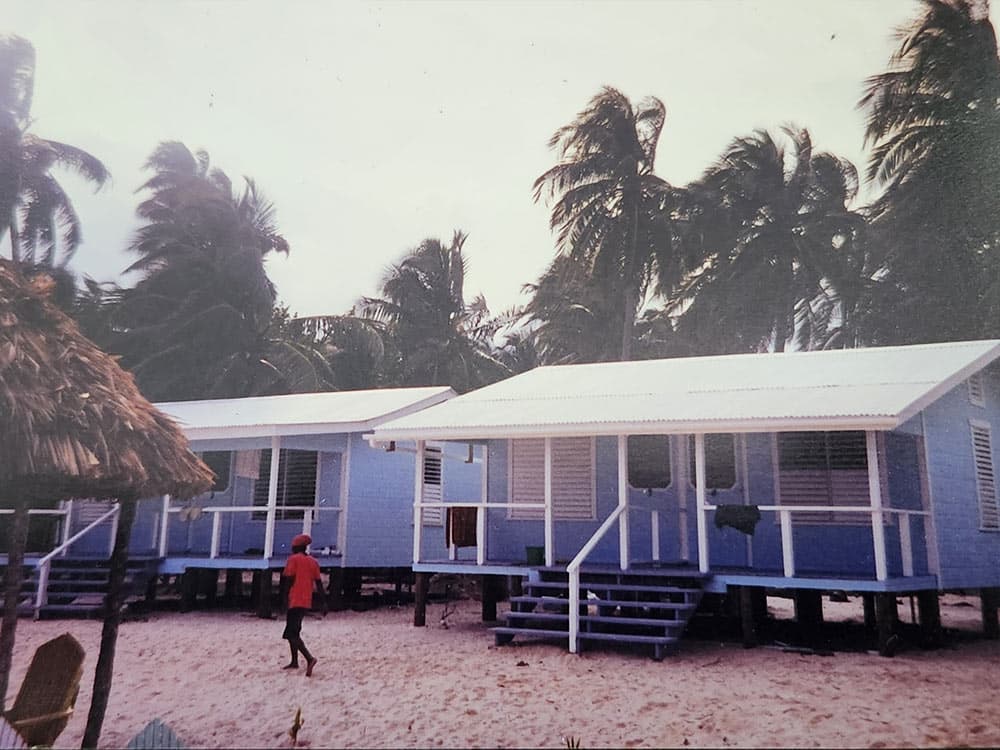 Two blue beach cottages surrounded by palm trees, with a person walking on the sand.