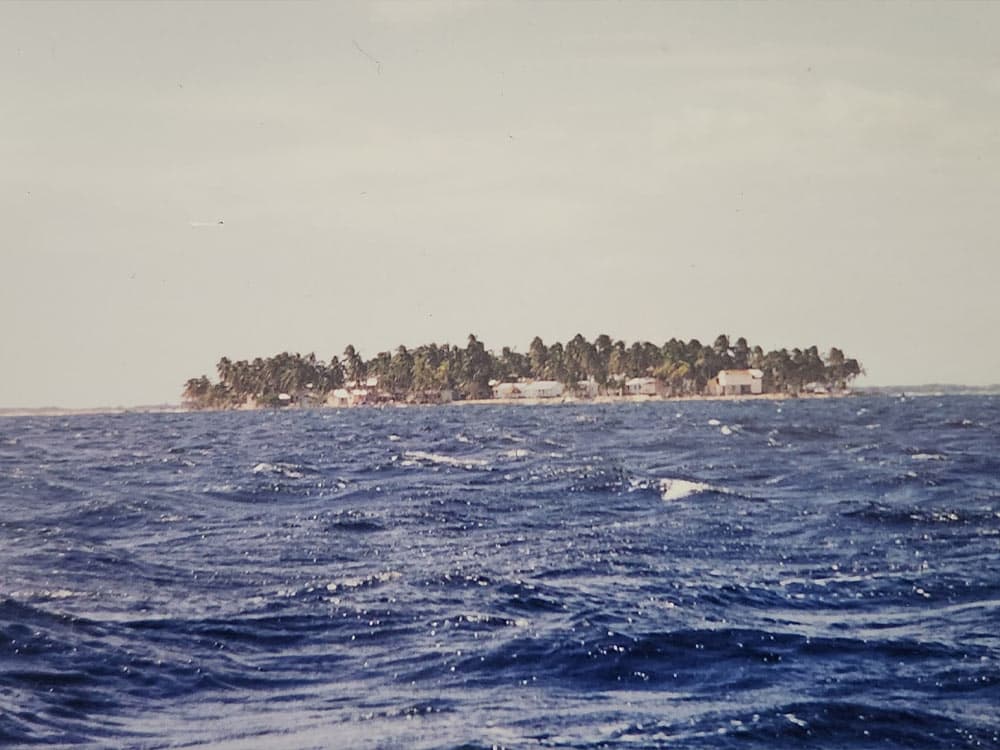 A small island with trees and buildings seen from the ocean.
